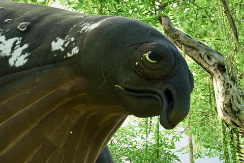 Mister Bean say hi 👋